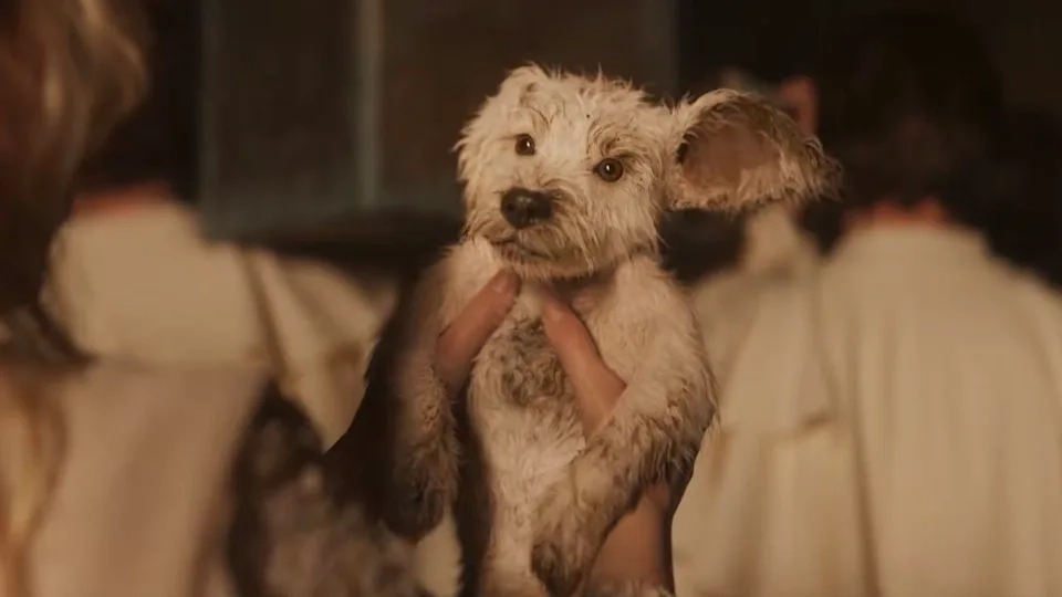 Krypto