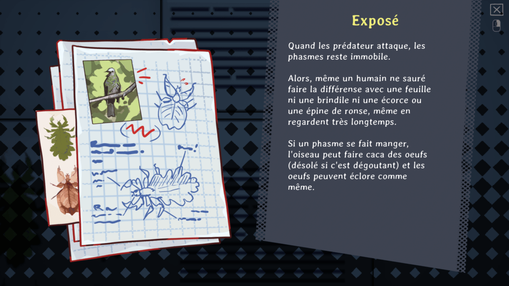 Exposé d'un enfant sur les phasmes