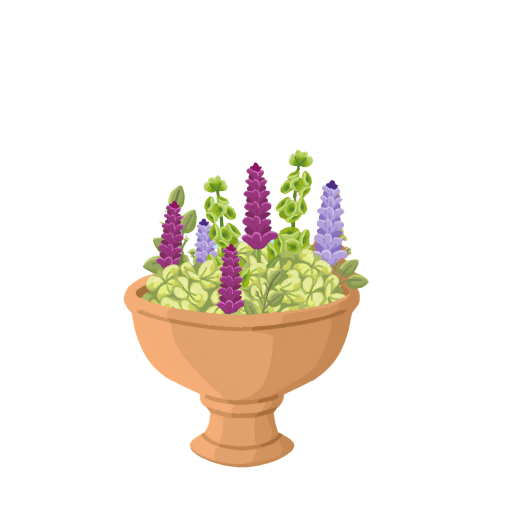 Une composition de Jacinthes violettes
