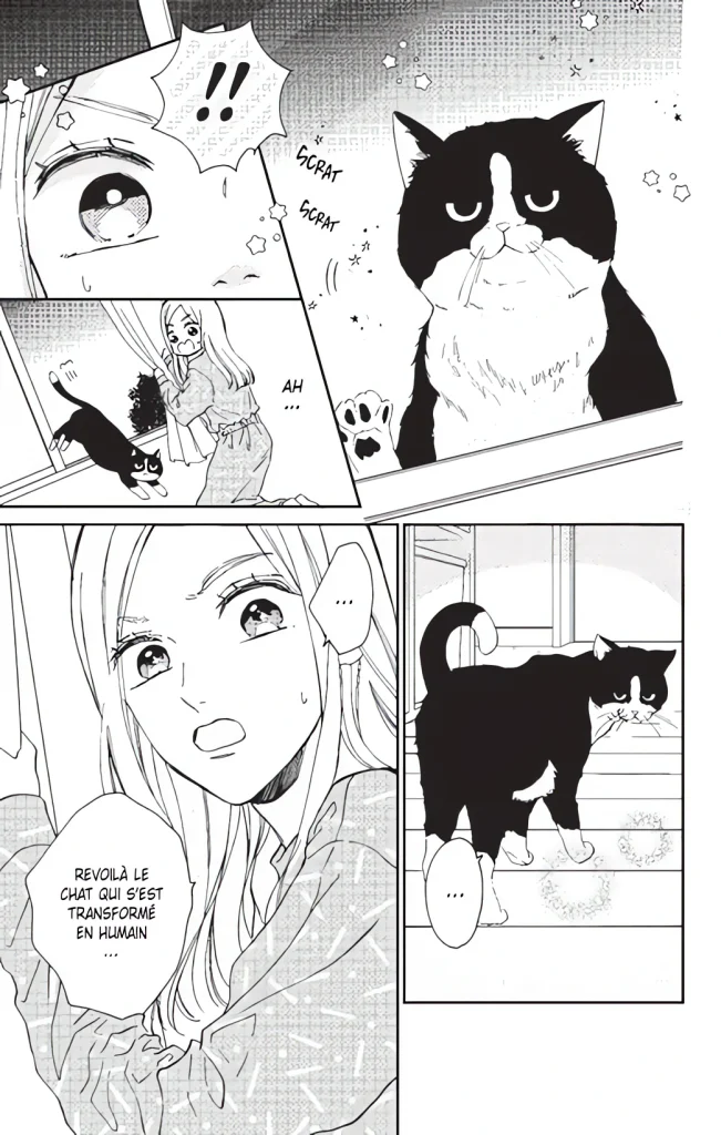 Kiss me Kitty
