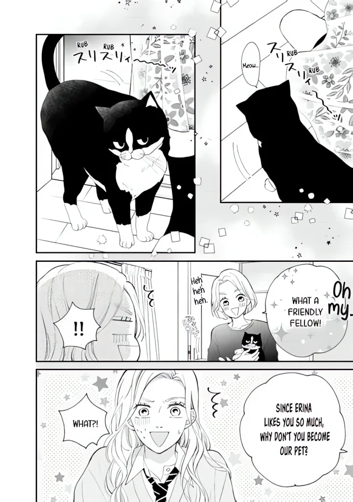 Kiss me Kitty