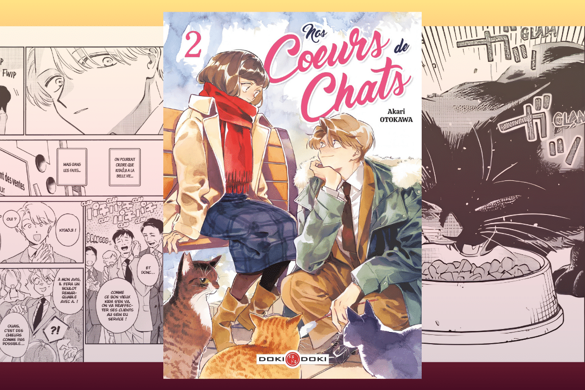 Kotales - Nos coeurs de chats