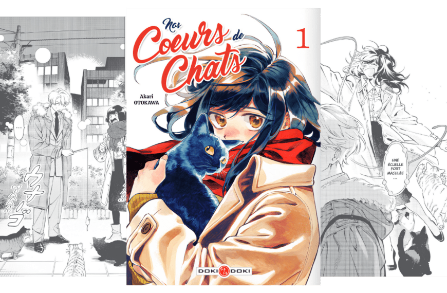Kotales - Nos coeurs de chats